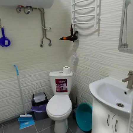 1 кімнатні в гостьовому будинку Moekatsjeve